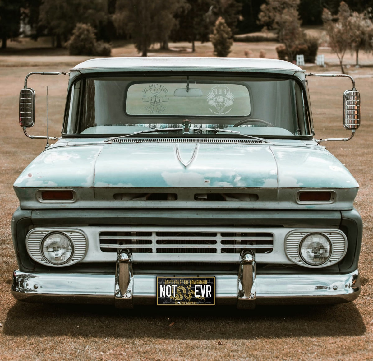 DON'T TRUST THE GOVERNMENT LICENSE PLATE