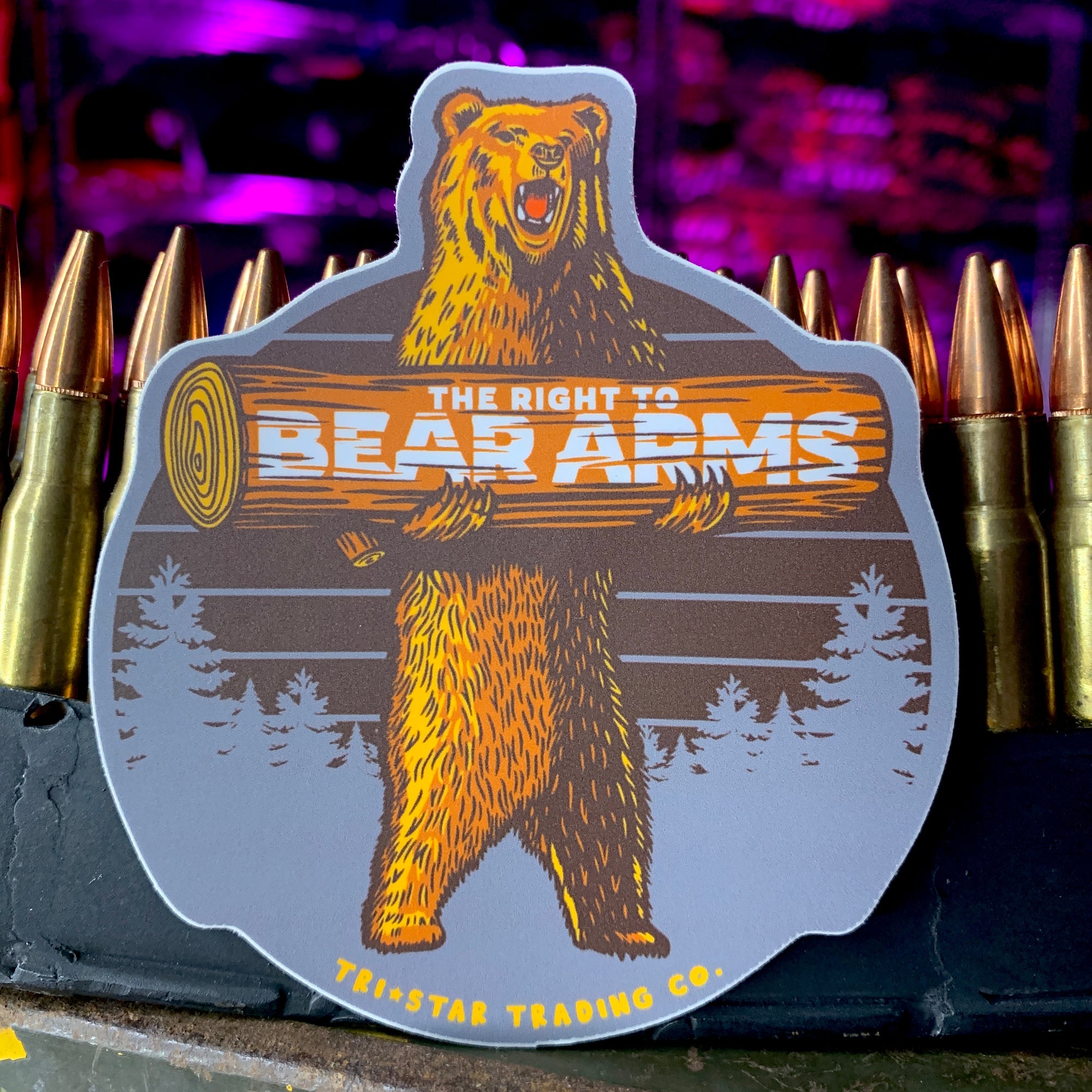 BEAR ARMS DECAL